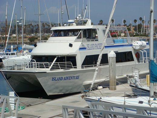 island packers whale watching