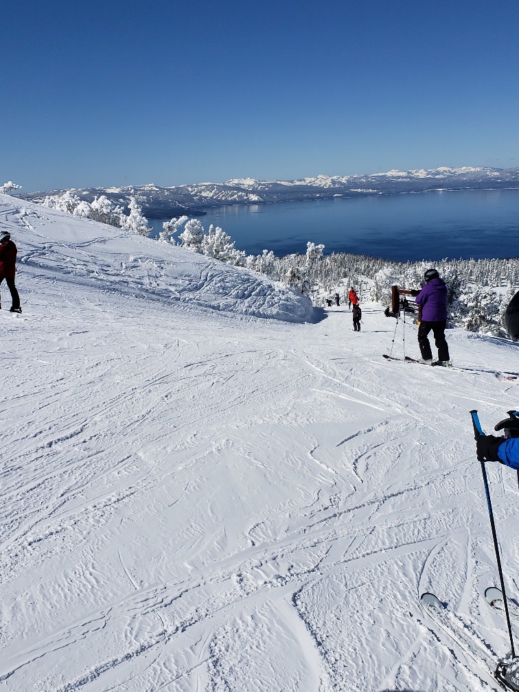 Skiing at Heavenly Mountain Resort, Lodging at the Forrest Suites